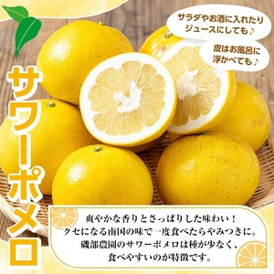 先行予約受付中＜期間限定＞磯部農園のサワーポメロ8kg箱バラ詰め（12玉～22玉）果樹【01-102-01】