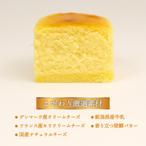 半熟スフレ チーズケーキ 10個 チーズケーキ チーズケーキ チーズケーキ チーズケーキ iei001_02