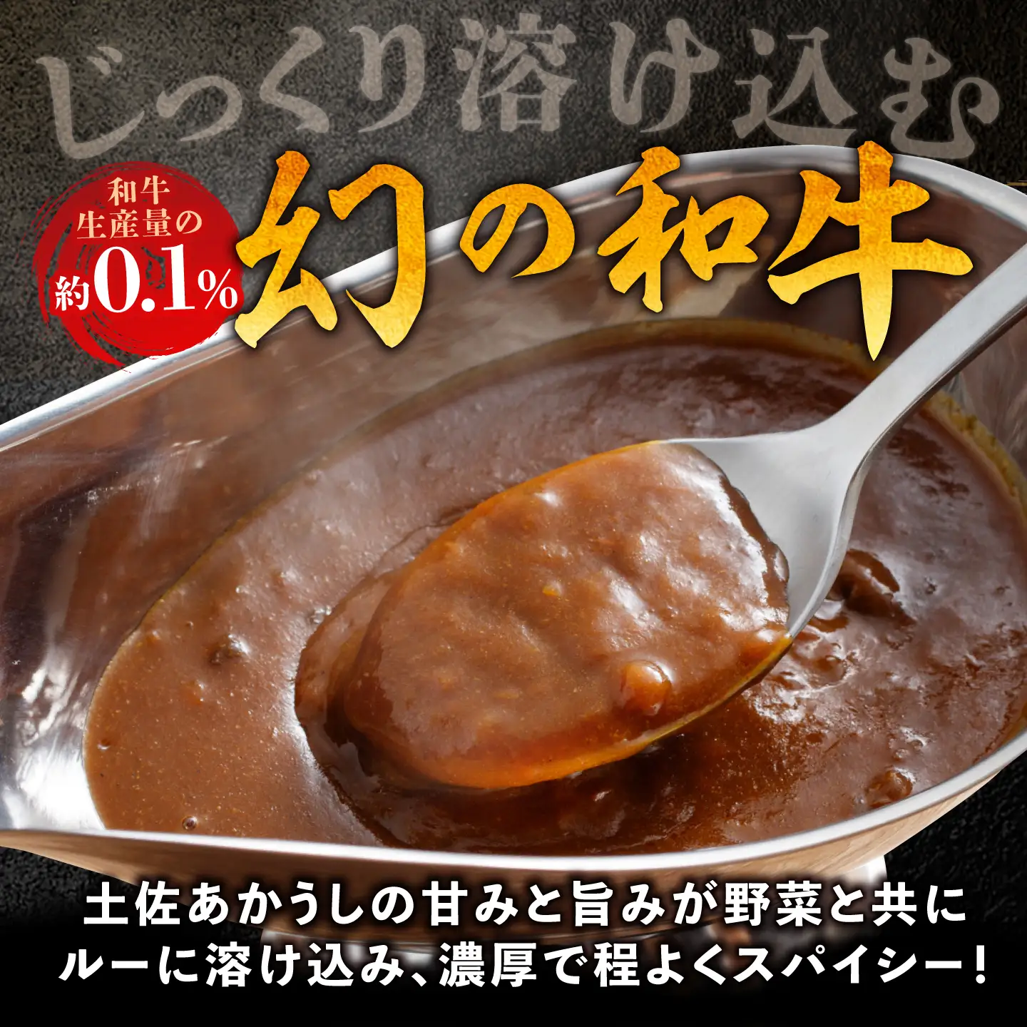【3回定期便】高知土佐あかうしビーフカレー 10食セット/ レトルト カレー あか牛 土佐あかうし 牛肉 牛カレー 保存食 常備 人気 おすすめ 高知市 【株式会社 四国健商】[ATAF137]