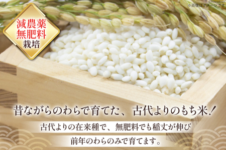 もち米 金の鈴米 平安 白毛もち米 精米 3kg
