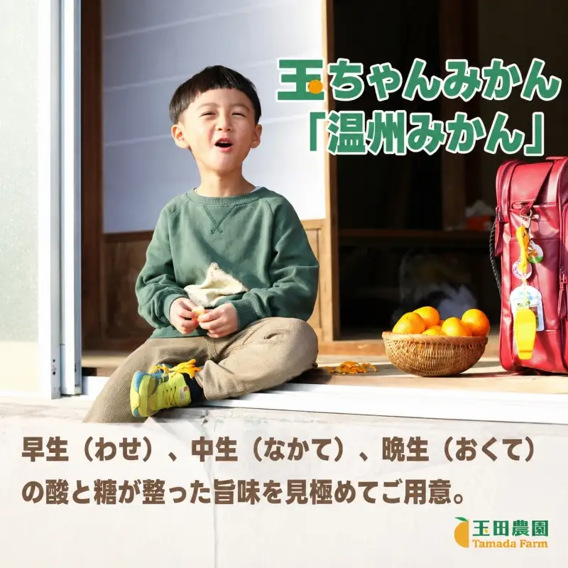 有田 みかん 旨時 体に優しい玉ちゃんみかん 5kg / 温州みかん 有田みかん 甘い 和歌山 柑橘 ※2026年12月初旬～2027年2月中旬に順次発送【tmd004-cu-5A】