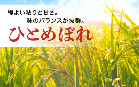 無洗米 ひとめぼれ 10kg 2回定期便  |  無洗
