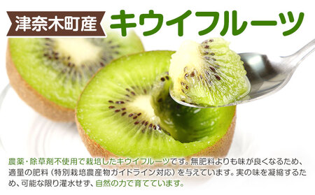 キウイフルーツ 2.5kg ゆいやわす《11月上旬-4月末頃出荷》