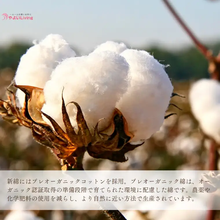 ＼受注生産・職人手作りふとん／綿ふとん 打ち直しサービス【仕上がり：シングル掛ふとん】 (EO019) 大切なお布団を職人が一枚一枚丁寧に仕立てます♪