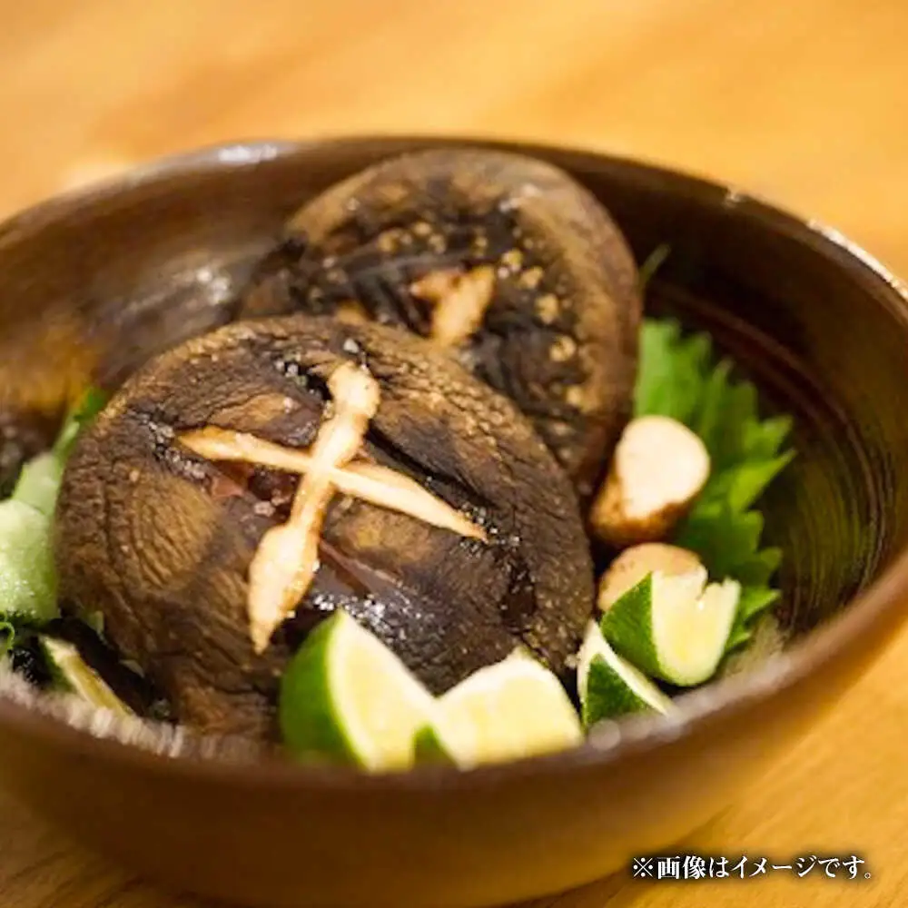 【訳あり】原木 生しいたけ 約1kg しいたけ [BNAU005]