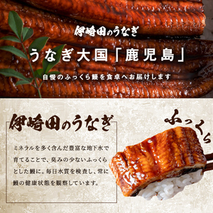 【ギフト対応】【数量限定】鹿児島県産 伊崎田のうなぎ蒲焼 大＜170g以上＞× 3尾(計510g以上) 鰻 うなぎ ウナギ 蒲焼き 3尾 国産 九州産 鹿児島県産 冷凍 おつまみ 鰻重 うな丼 ギフト 贈答用 プレゼント 化粧箱 b7-021