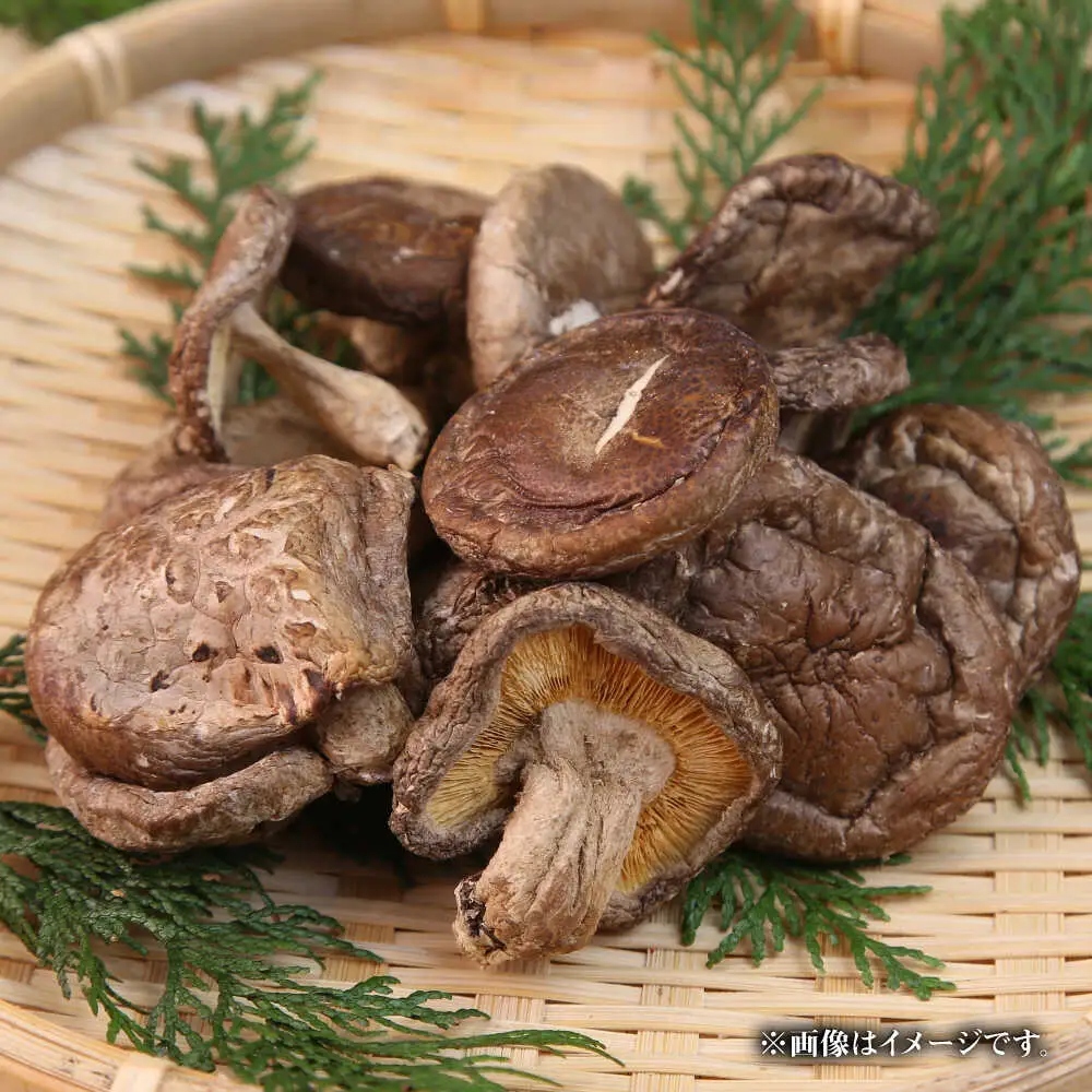 【訳あり】原木乾燥しいたけ 約320g | 合同会社カルシ [BNAU008]