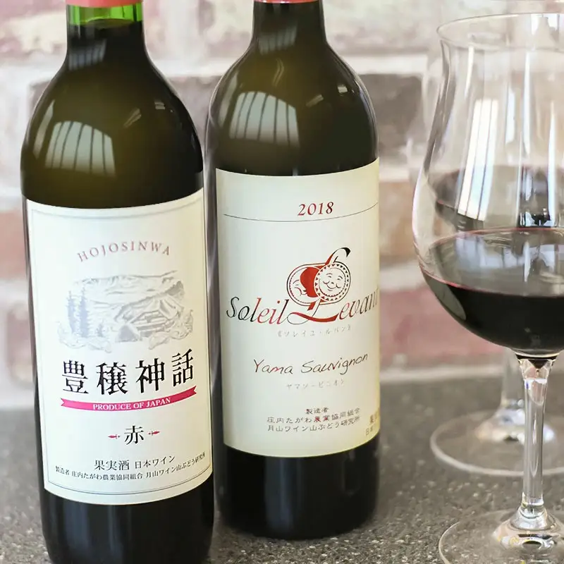 赤ワイン　飲み比べ2本セット　ソレイユルバン・ヤマソービニオン750ml＆豊穣神話・ヤマソービニオン720ml　K21-744