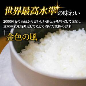 金色の風 精米 2kg ＼ 米 ／