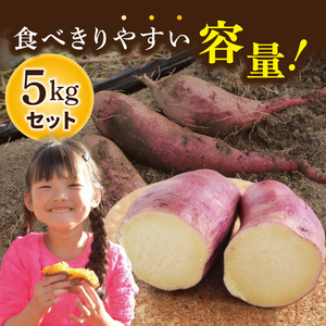 【先行予約】熟成さつまいも シルクスイート5kg【10月中旬より順次発送予定】｜茨城県 大子町 サツマイモ 芋 甘い ホクホク 野菜 数量限定 秋 旬 産地直送（CH003）