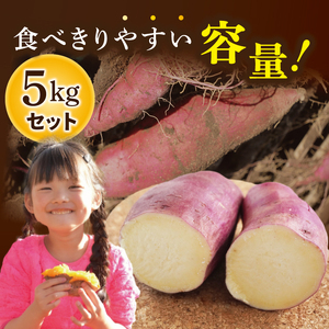【先行予約】熟成さつまいも 栗かぐや 5kg【10月中旬より順次発送予定】｜茨城県 大子町 サツマイモ 芋 甘い ホクホク 野菜 数量限定 秋 旬 産地直送（CH004）