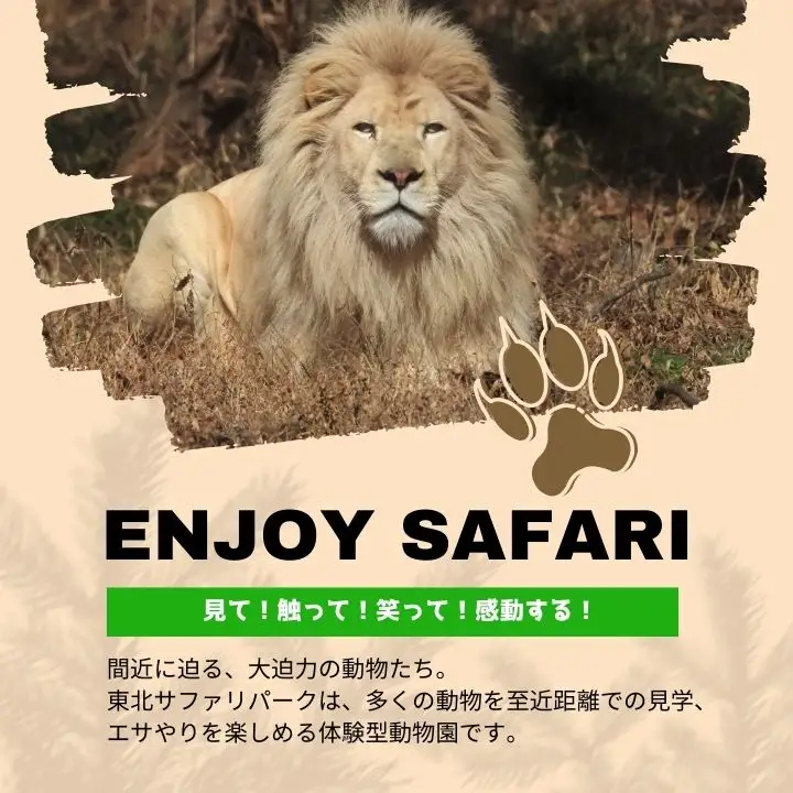 東北サファリパーク入園チケット 大人2名＋小人1名（ 入園チケット＋草食動物のエサ）【株式会社東北サファリパーク】