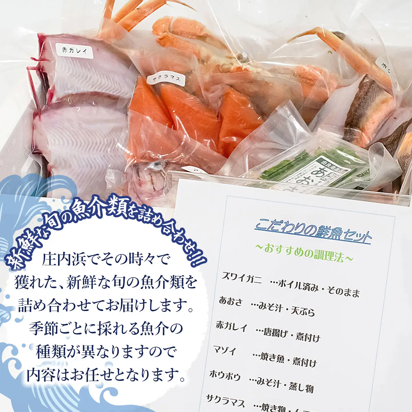 A51-252　 庄内浜鮮魚セット(下処理済み)４～６種類