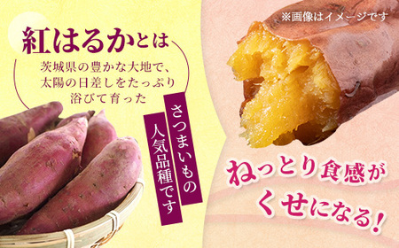 【ふるなびWEEK対象】【訳あり】生芋10kg　SSサイズ～2Lサイズ（サイズバラ） ※離島への配送不可 ※2025年12月下旬頃より順次発送予定