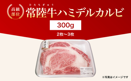 【茨城県共通返礼品】茨城県産 ハミデルカルビ300g | カルビ かるび カブリ 部位 ゲタ 中落カルビ リブ芯 リブ巻き 希少部位 高級部位 リブロース 牛肉 牛 大きい とろける 甘み はみでる 食卓 バーベキュー BBQ パーティー