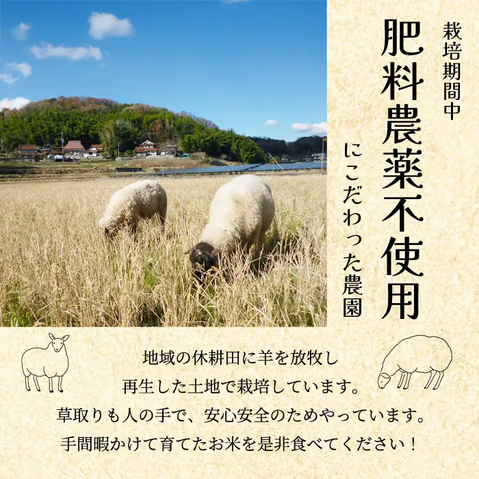 コシヒカリ【3か月定期便】《肥料・農薬：栽培期間中不使用》瀬戸内三原 羊飼いのこしひかり 玄米 2.5kg×3回 瀬戸内ビオファーム お米 こめ ご飯 002030
