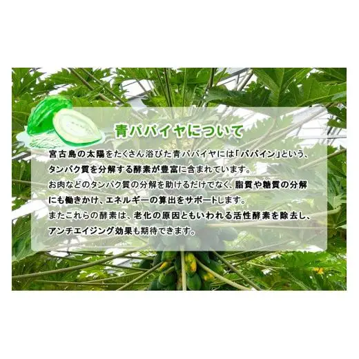 JJ011　宮古島産パパイヤしりしり（500g×3パック）