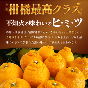 【 ご家庭用 訳あり 】 不知火 5kg