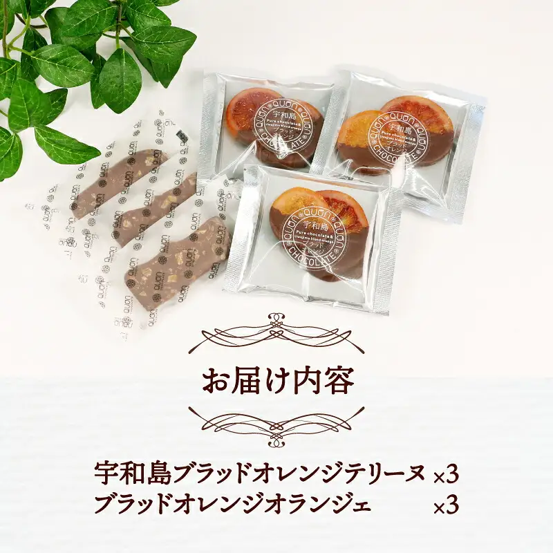 ブラッドオレンジ チョコ セット 久遠チョコレート おすすめ テリーヌ 3枚 オランジェ 3袋 チョコ チョコレート ドライ フルーツ 洋菓子 菓子 お菓子 スイーツ ギフト プレゼント 詰め合わせ 愛媛 宇和島 J010-167005