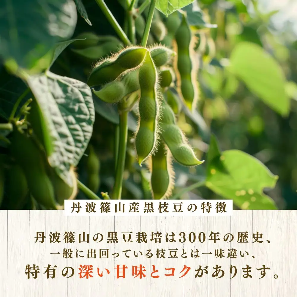 【令和8年10月中旬頃から11月上旬頃発送予定】日本遺産 丹波篠山市 JAS有機栽培 オーガニック黒枝豆（200ｇ×5袋）DRM002
