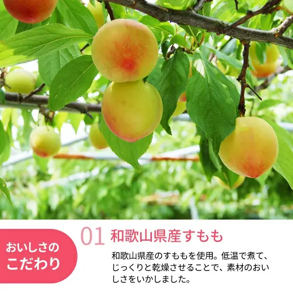 和歌山県産 ドライフルーツ  すもも  20g×5袋 /すもも おやつ 小腹 お菓子 健康【kng024-1】