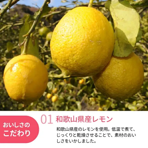 和歌山県産 ドライフルーツ  レモン  22g×2袋 / レモン おやつ 小腹 お菓子 健康【kng025-1】