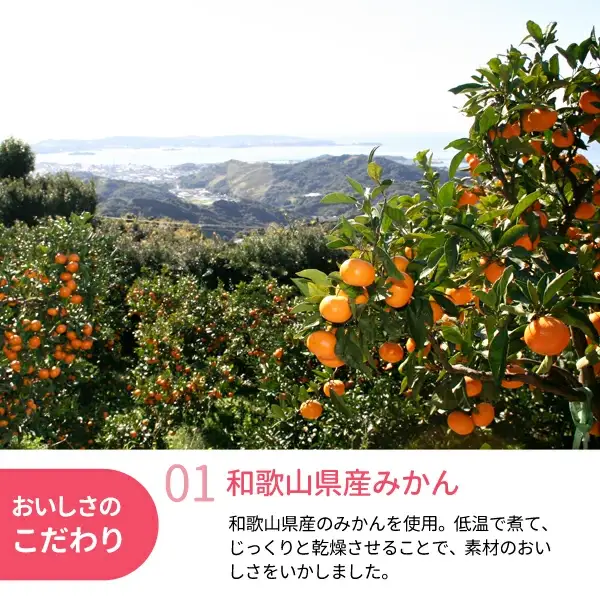 和歌山県産 ドライフルーツ  みかん  22g×5袋 / みかん おやつ 小腹 お菓子 健康【kng028-1】