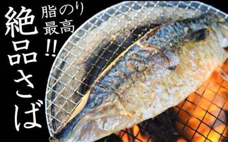 干物【骨取り】 サバ干物 10枚 干物