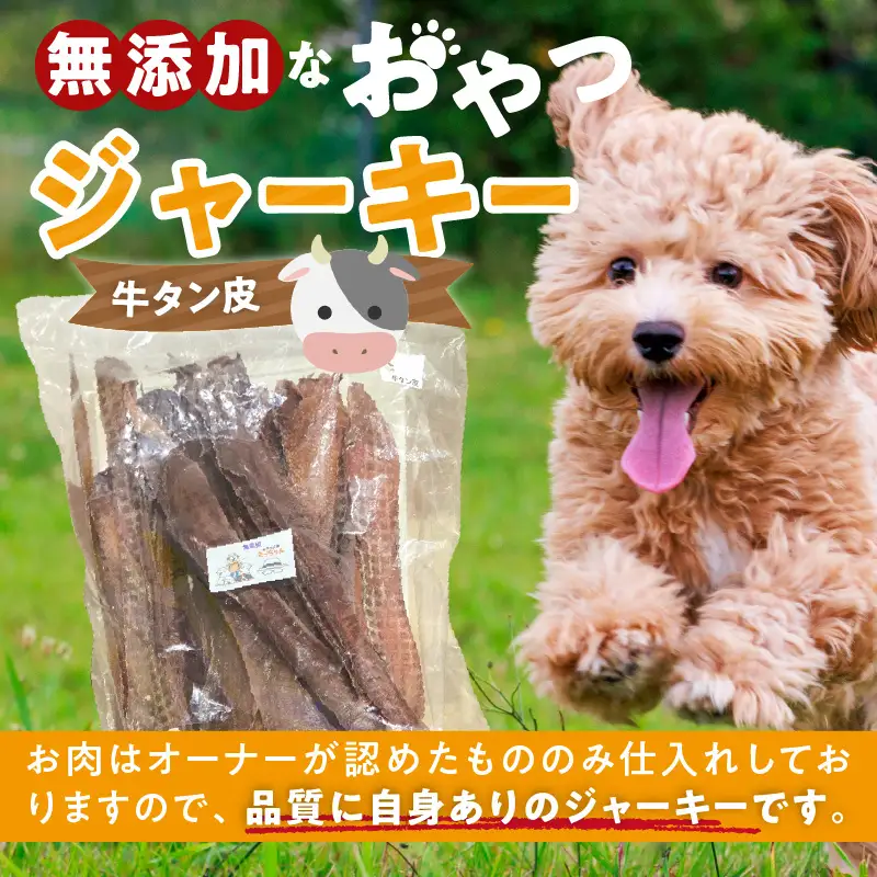 【総量500g】犬猫用 無添加おやつジャーキー 牛たん皮（肉）[143O18]