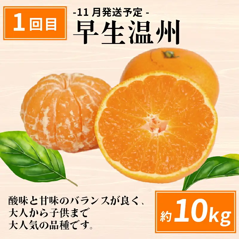 えひめの旬の柑橘 6回 みかん定期便 JA みかん定期便 B120-009012