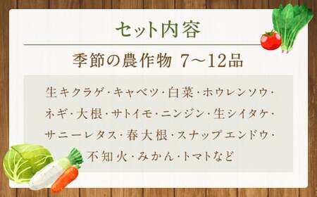 ひとよし球磨産 新鮮農作物詰合せ 【2026年12月上旬-下旬発送予定】 旬 生鮮品 野菜 農作物 お取り寄せ セット 産地直送