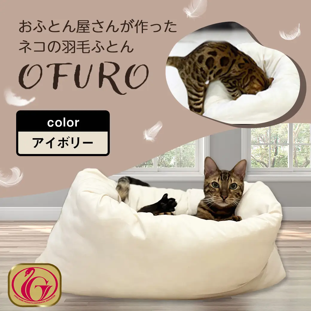 【アイボリー】ねこの羽毛ふとん「OFURO」〔AF-J206-iv〕_(都城市) 羽毛布団タイプ 大切な家族 ペット 埋もれるおふとん 夢中 ニューゴールドラベル 高品質 全部丸洗い