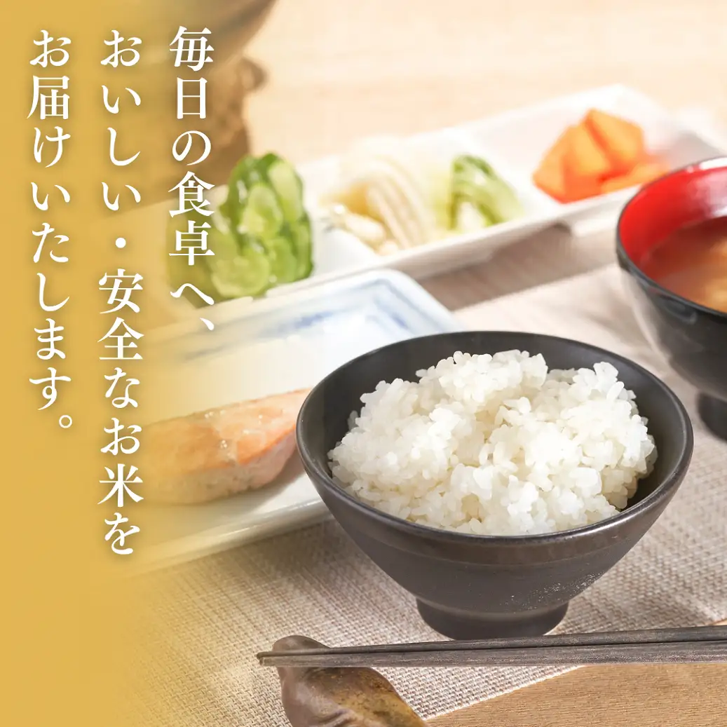【新米】【先行予約】 コシヒカリ 精米 米 新潟県産 コシヒカリ 20㎏ (９月下旬より順次発送予定) 出雲崎町産 「天領の里」 令和8年産 | コシヒカリ 新潟県 出雲崎町