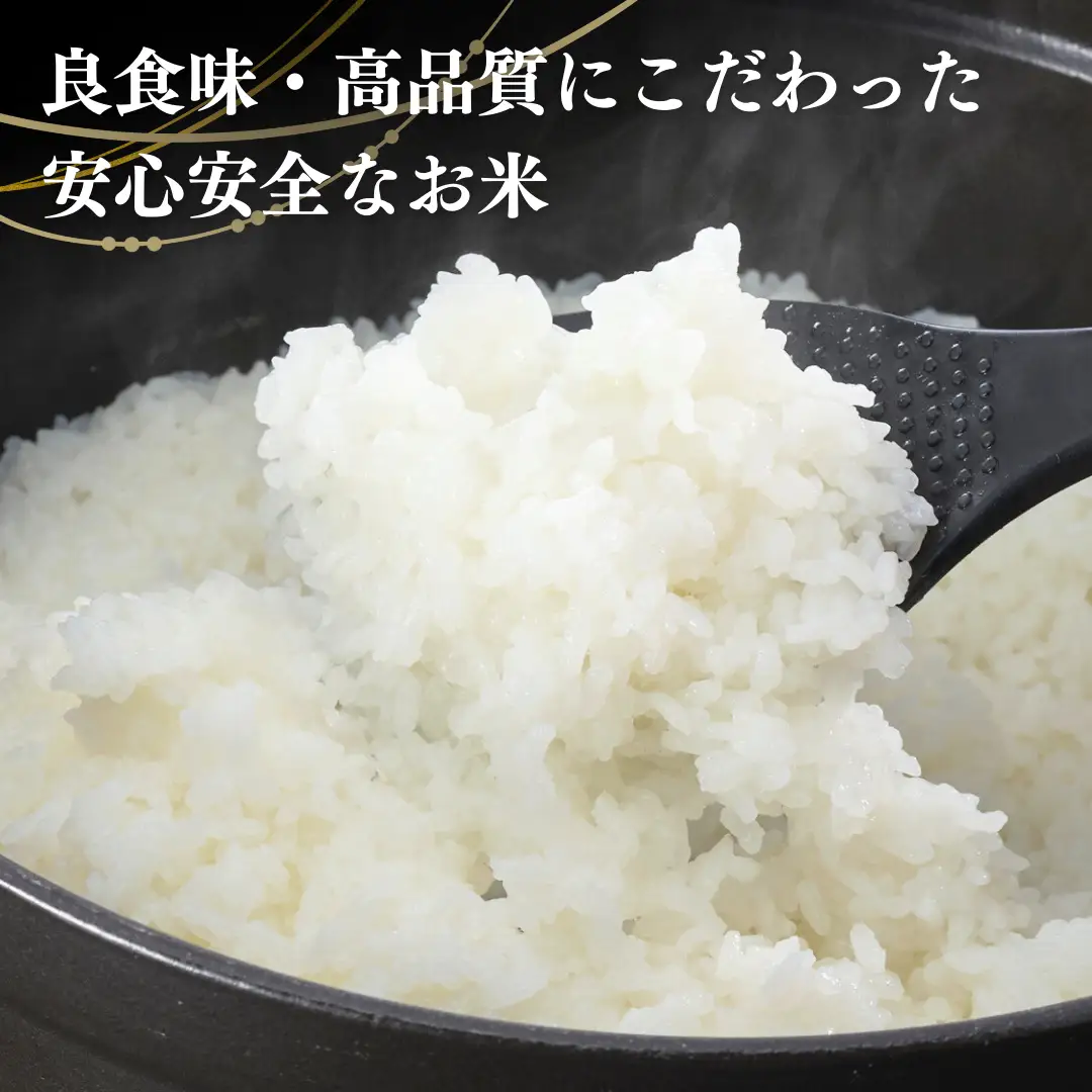 【定期便】【新米】【先行予約】 「新之助」 5kg 3か月 (9月下旬より順次発送予定 ) 新潟県産 出雲崎町産 令和8年産 合計15kg | 新之助 新潟県 出雲崎町