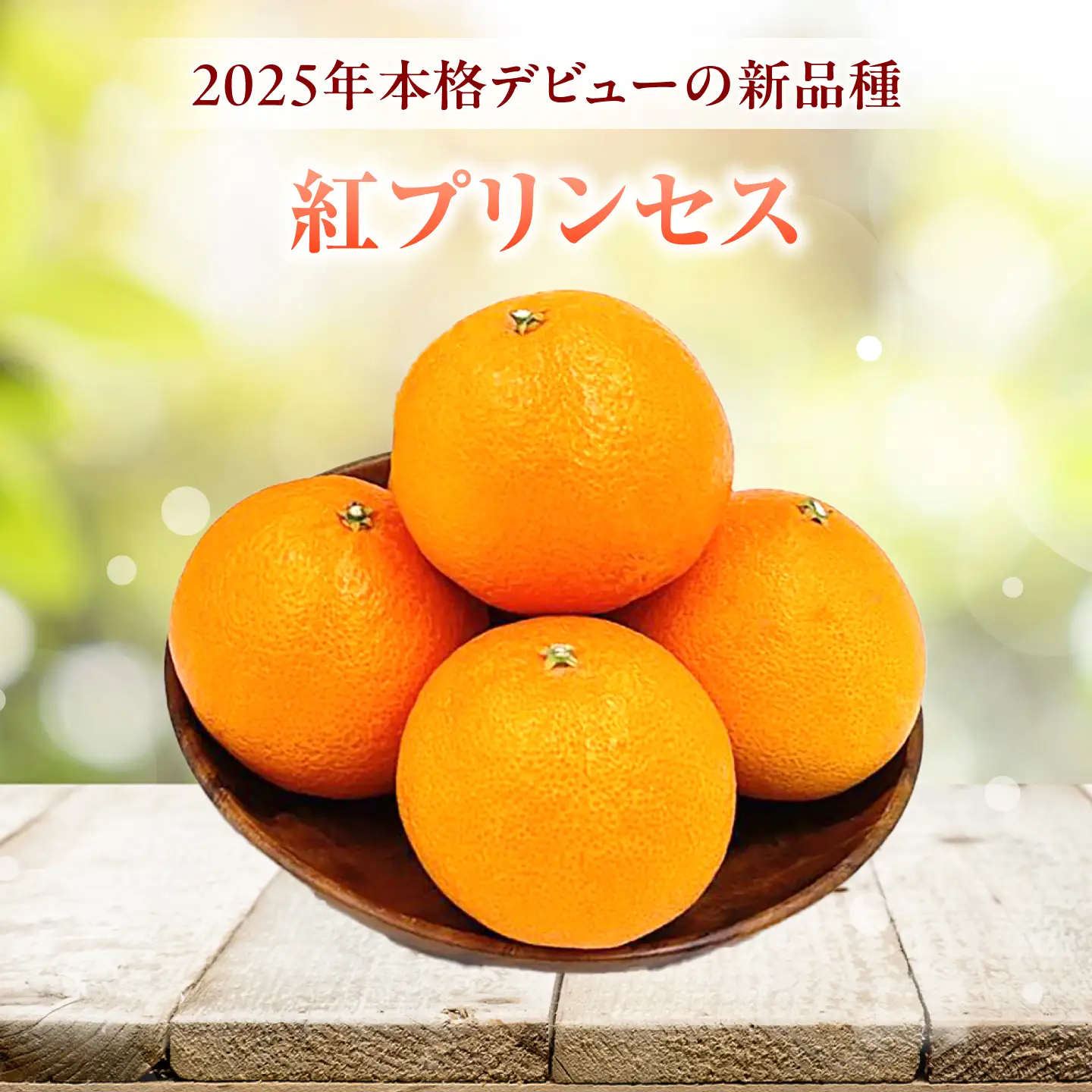 紅プリンセス 愛果48号 2.5kg M-3Lサイズ フルーツ 果物 みかん BJBI002