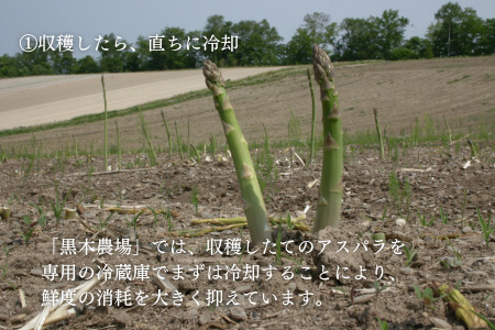 【令和9年先行予約】グリーンアスパラ M～Lサイズ 2kg アスパラガス 黒木農場 北海道 美瑛