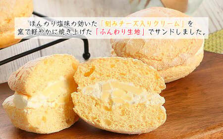 【定期便４カ月】こだわりの窯焼き「チーズブッセ」１０個入×４ヵ月連続お届け