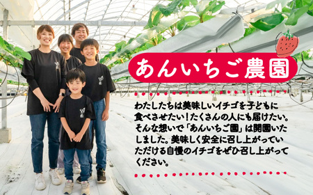  苺 いちご 紅ほっぺ 270g×4パック