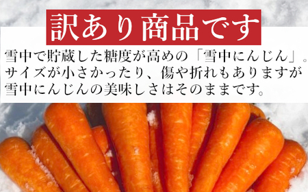 【訳あり】 雪中にんじん 約5kg K-farm | にんじん
