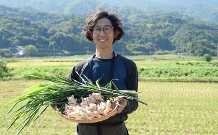 【先行予約】新生姜 1kg 生姜 しょうが ショウガ 野菜 薬味 辛味 新生姜