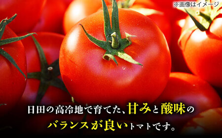 日田の濃縮トマト 2箱 計1.6kg / 日田市 / 有限会社マルカ農園(トマトファーム)[ARAH001]