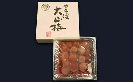 豊後大山 南高梅干 1kg   大分県 日田市 南高梅干し [ARDJ002]