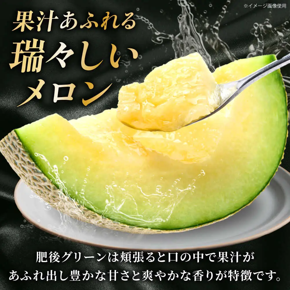 先行予約 肥後グリーンメロン約4kg(2玉)ZEM006