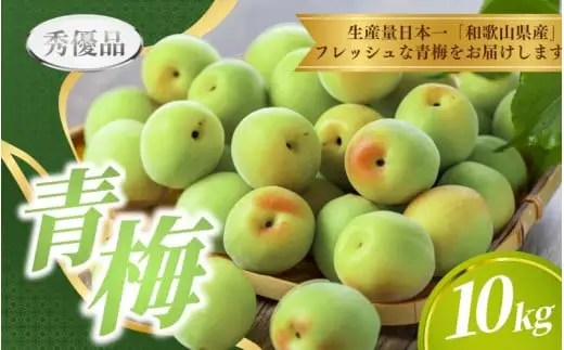 【先行予約】 青梅 10kg ※秀優品 ※サイズ混合 【2027年6月上旬～6月下旬頃に順次発送予定】＜味好農園＞/ 梅 青梅 梅干 梅干し 梅酒 お酒 シロップ ジュース【agy508-r-10】