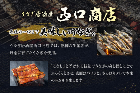 うなぎ居酒屋西口商店の「うなぎの佃煮」40g以上×2袋 国産 数量限定【B654】