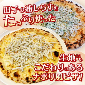 ピザ 田子の浦しらす 2種類 計6枚 青のり味 ガーリック味 冷凍 ナポリ風 静岡県 富士市 [sf037-002]