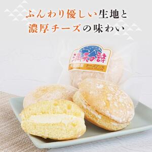 チーズブッセ 満天の詩　15個入り ｜ ささもり 和菓子 贈り物 宮城県 名物 ふるさとの味