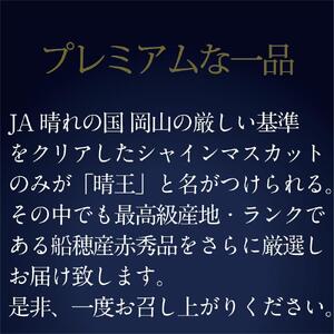 [HS]9月・10月発送 最高級品 シャインマスカット 晴王 2房 〈合計約1.3kg〉 ｜  シャインマスカット