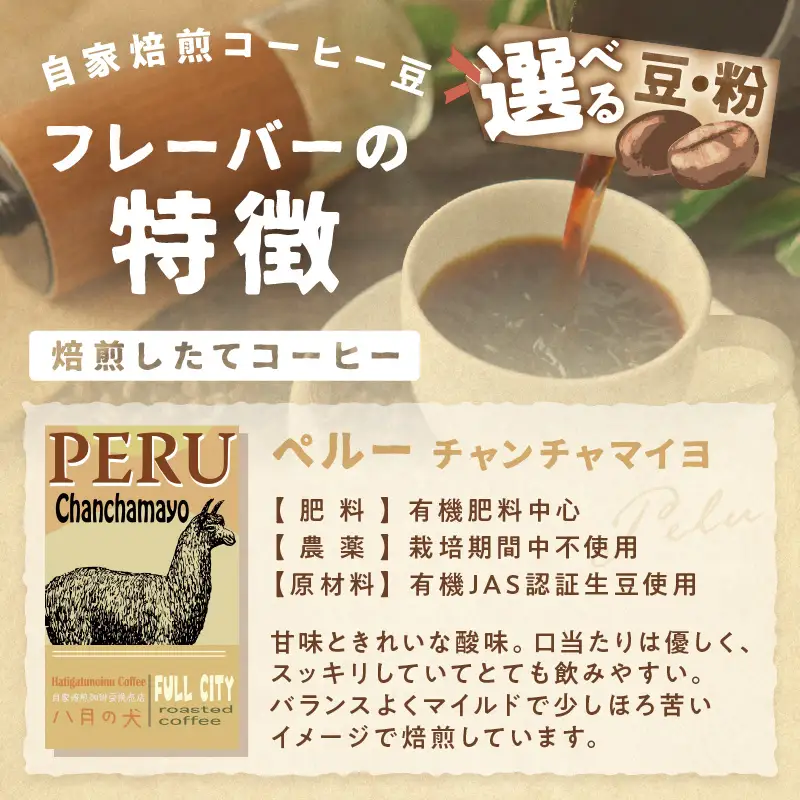 コーヒー豆 ペルーチャンチャマイヨ 500g  | コーヒー豆