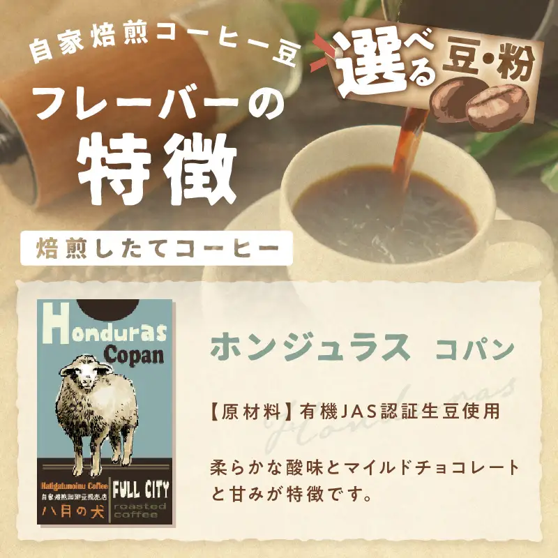 【コーヒー豆】 ホンジュラスコパン 500g コーヒー豆